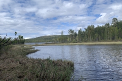 001_2023-06-08-15.49.35