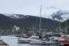 009_IMG_2518