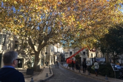 Avignon - Eingang zur Altstadt